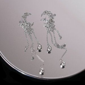 Tassel Zircon Earrings